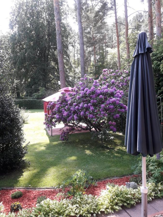Ferienhaus Am Langen See Heidesee エクステリア 写真
